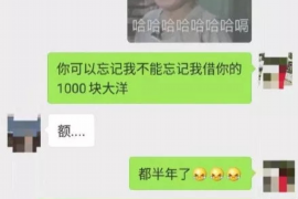 南昌贷款清欠服务